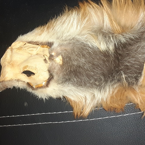 VINTAGE REAL FOX FUR FULL LENGTH SCARF MINT CONDITION - Picture 5 of 9